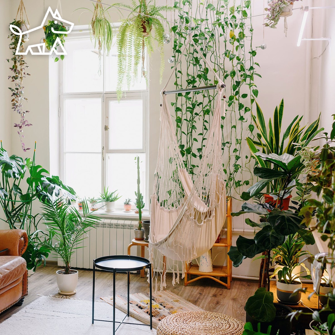 How to Arrange Plants in Your Living Room: 11 Tips and Tricks for Plant Parents
