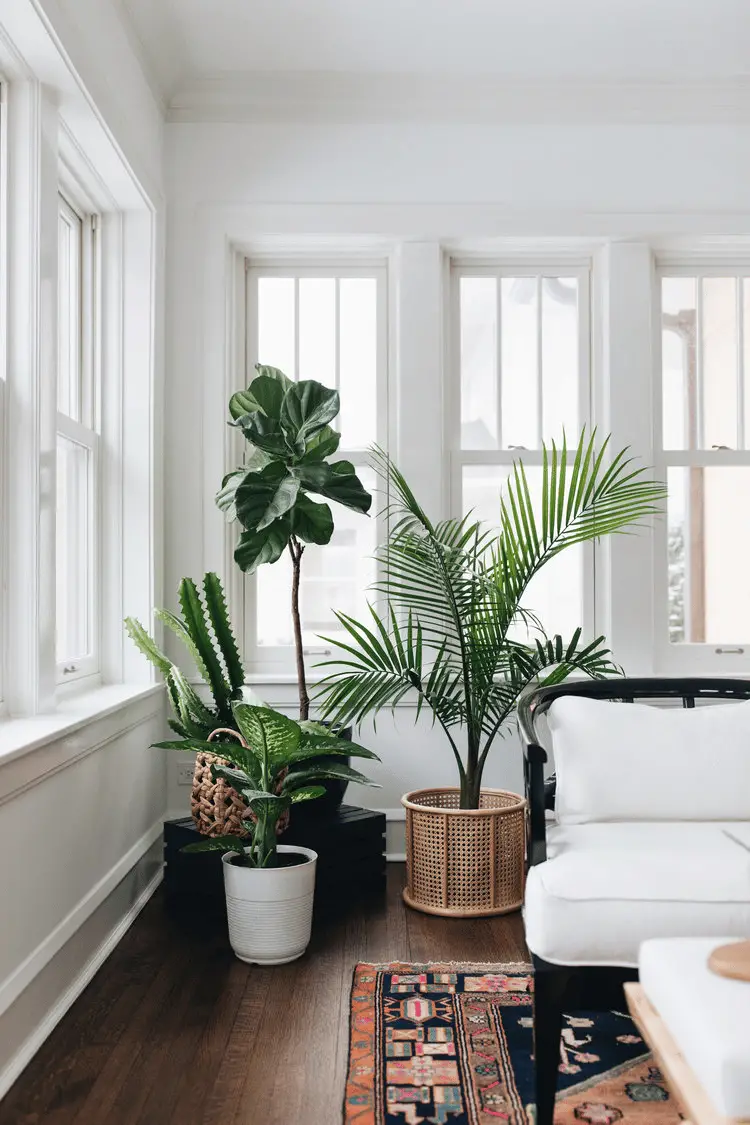 What to Put in Front of Window in Living Room – Great 16 Tips and Ideas