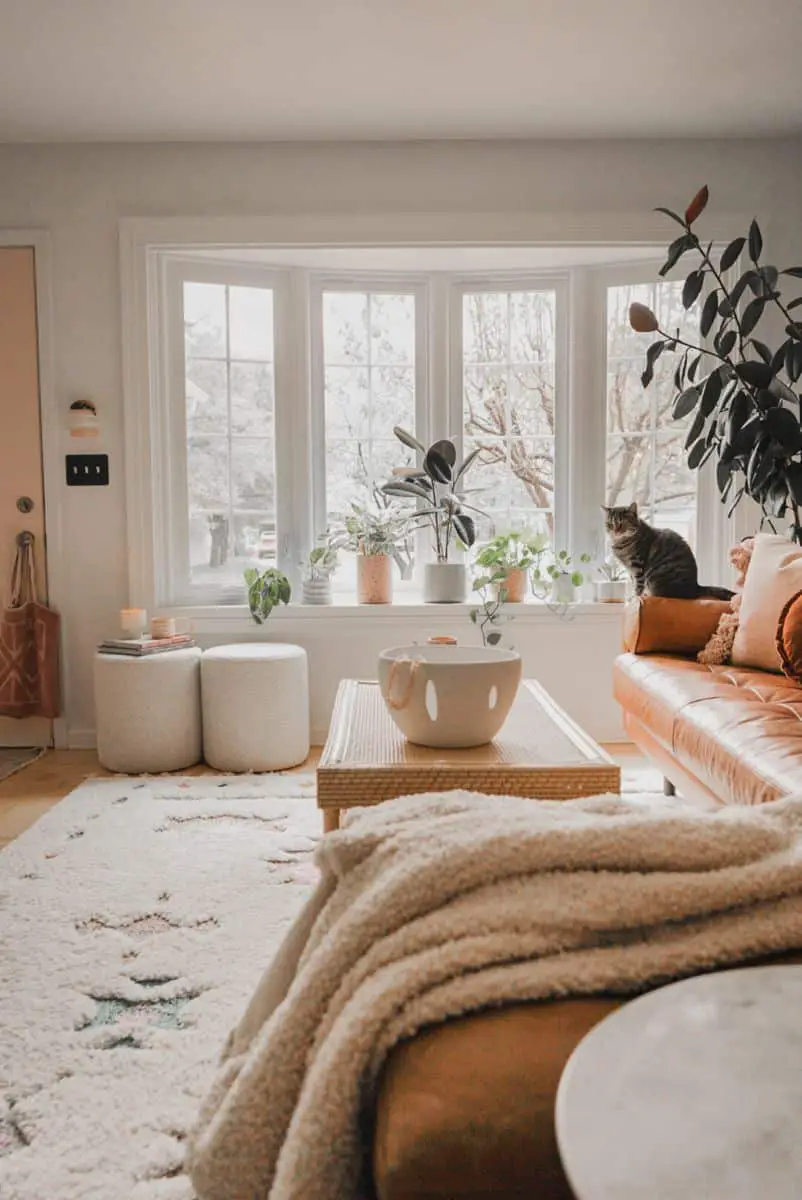 Position a Low Table in Front of your Living Room Window to take advantage of the light.