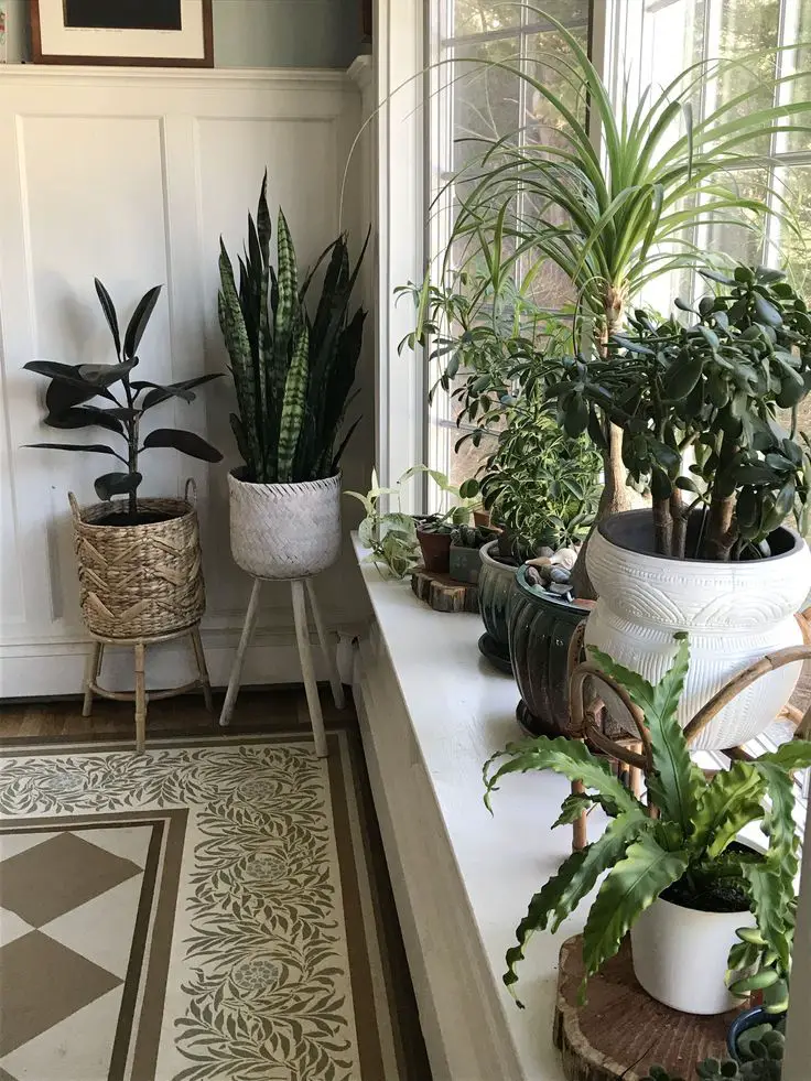 Add Plants in front of your Window to Bring the Outdoors In.