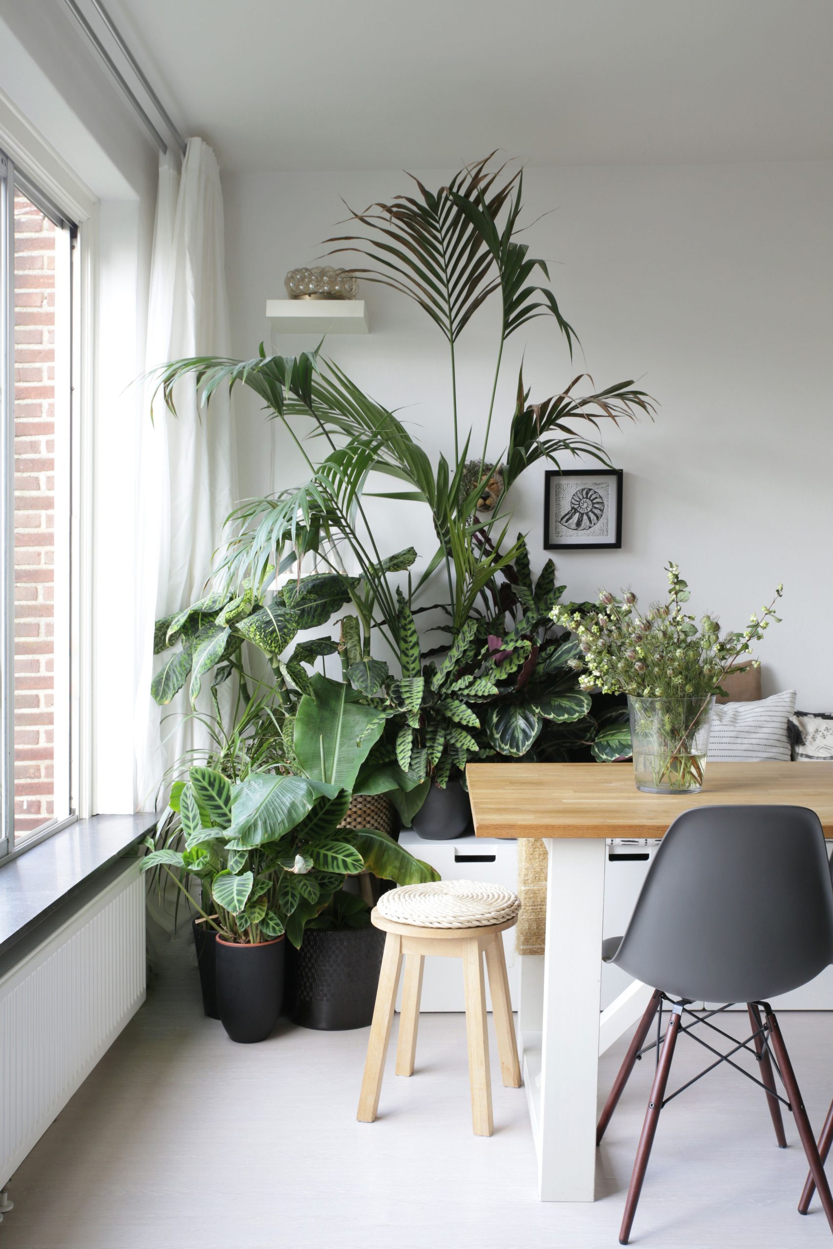 What to Put in Front of Window in Living Room - Great 15 Tips and Ideas