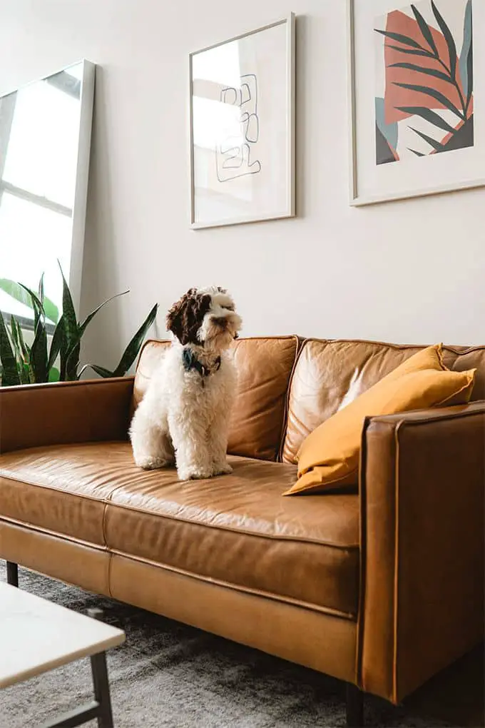 Add Some Plants for a Pop of Color and Bring the Outdoors In