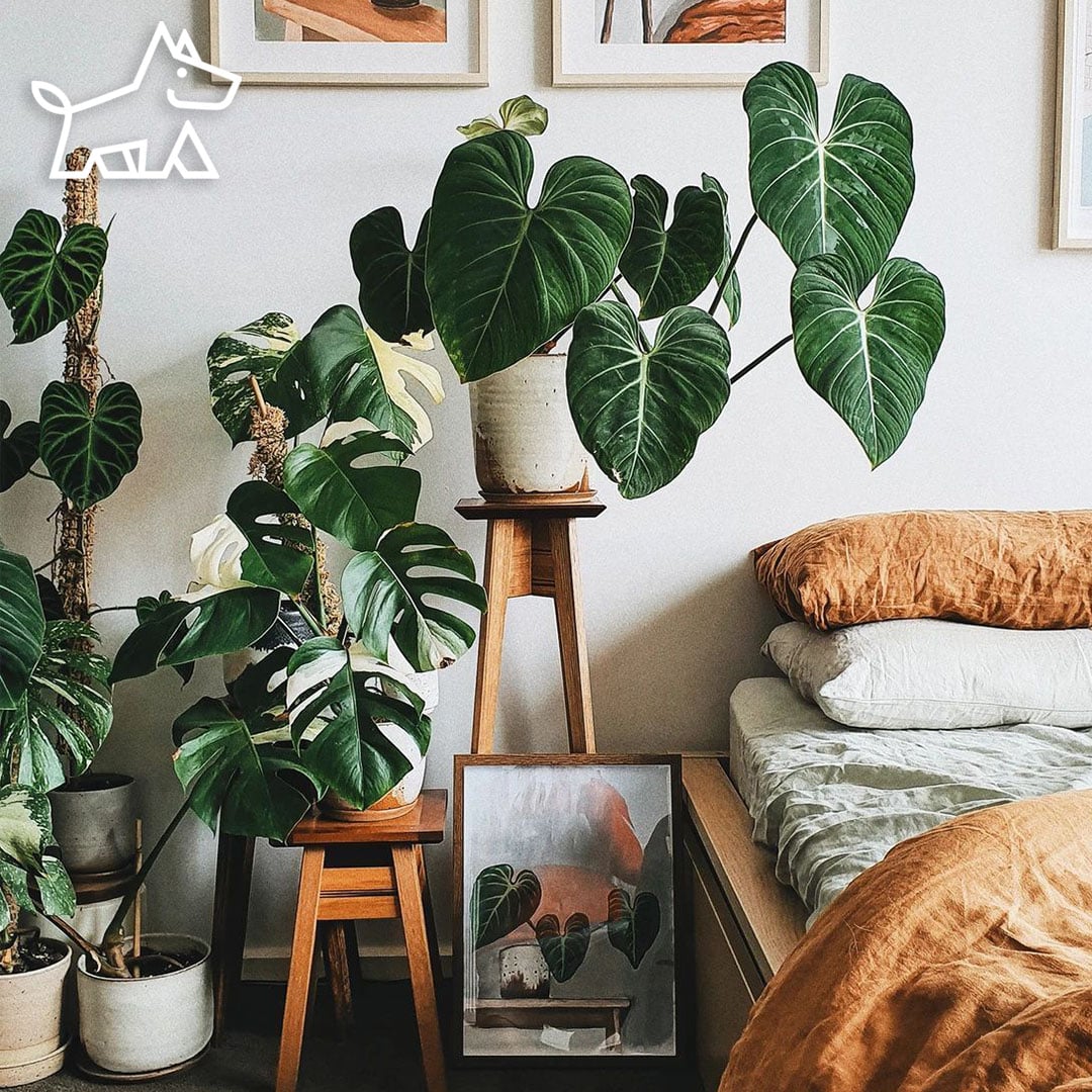 Title: How to Decorate a Long Rectangular Bedroom | Bark&Chase Meta Description: Struggling with how to decorate a long…