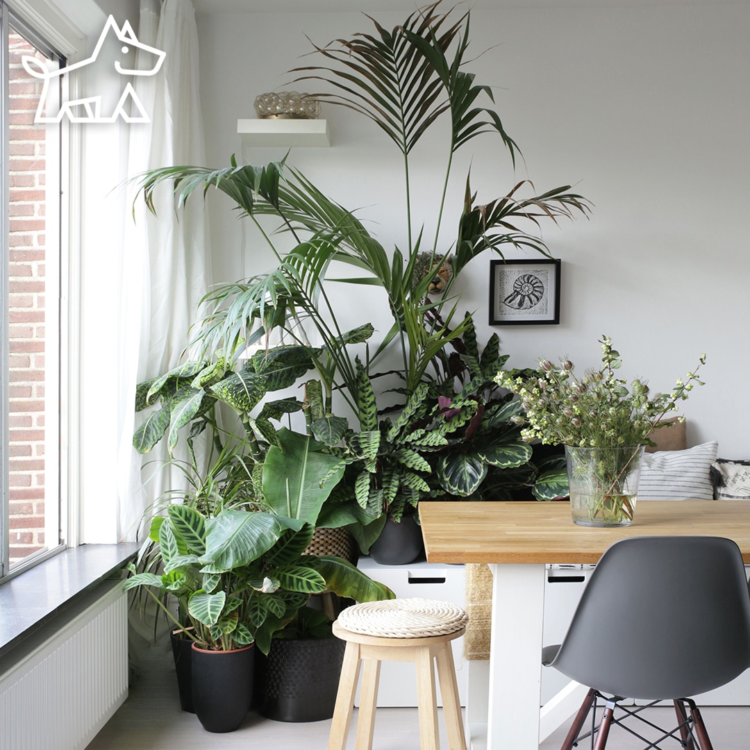 What to Put in Front of Window in Living Room – Great 16 Tips and Ideas