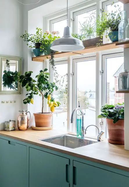 Plant a window box garden with bright flowers or herbs to bring life and nature into your kitchen!