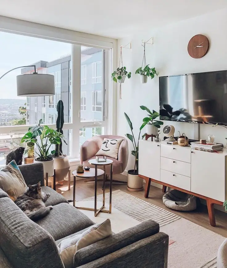 Add a few pet-friendly plants or flowers in strategic places around the rental. Not only do they look good, but they also…