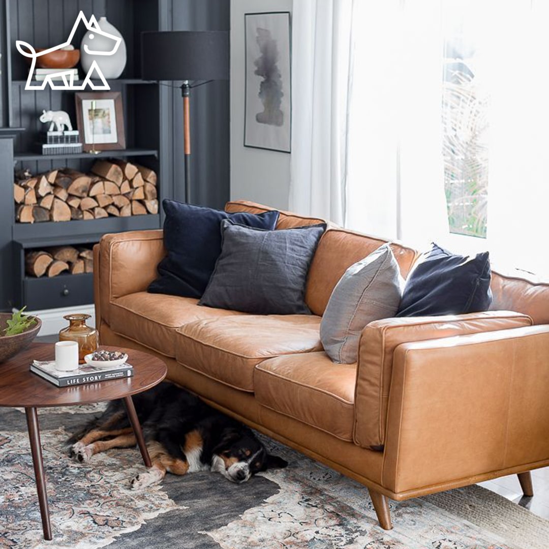 What Color Paint Goes with Beige Tile in a Living Room – 10 Great Combinations