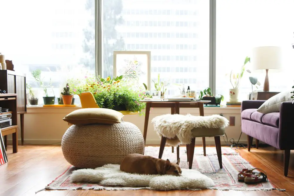How to Match Rugs in an Open Floor Plan - 10 Great Ideas