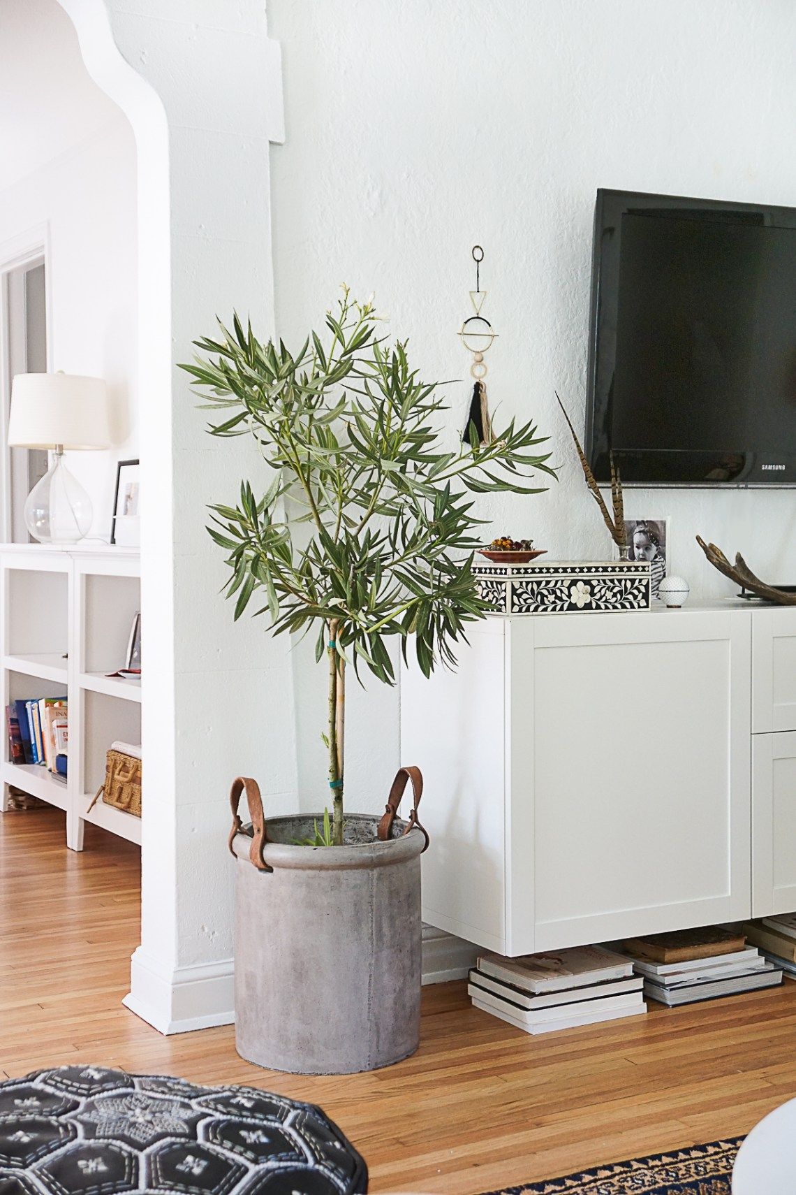 Hang mini planters on the wall around the console to bring nature into your living space in a unique way.