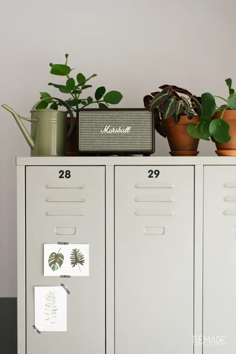 Use potted plants as a cover for floor-standing speakers.