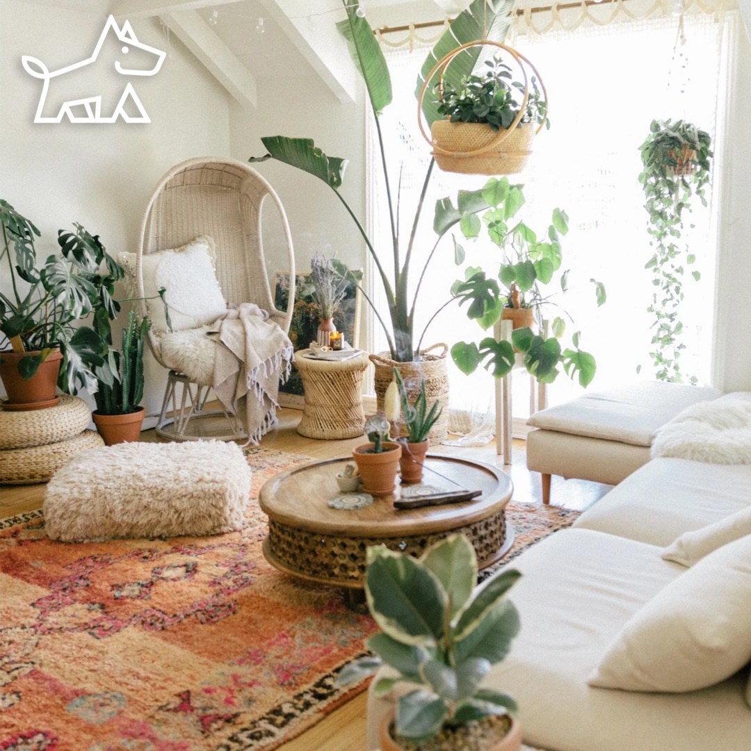 Best Interior Designer Near Me – Where to Hire