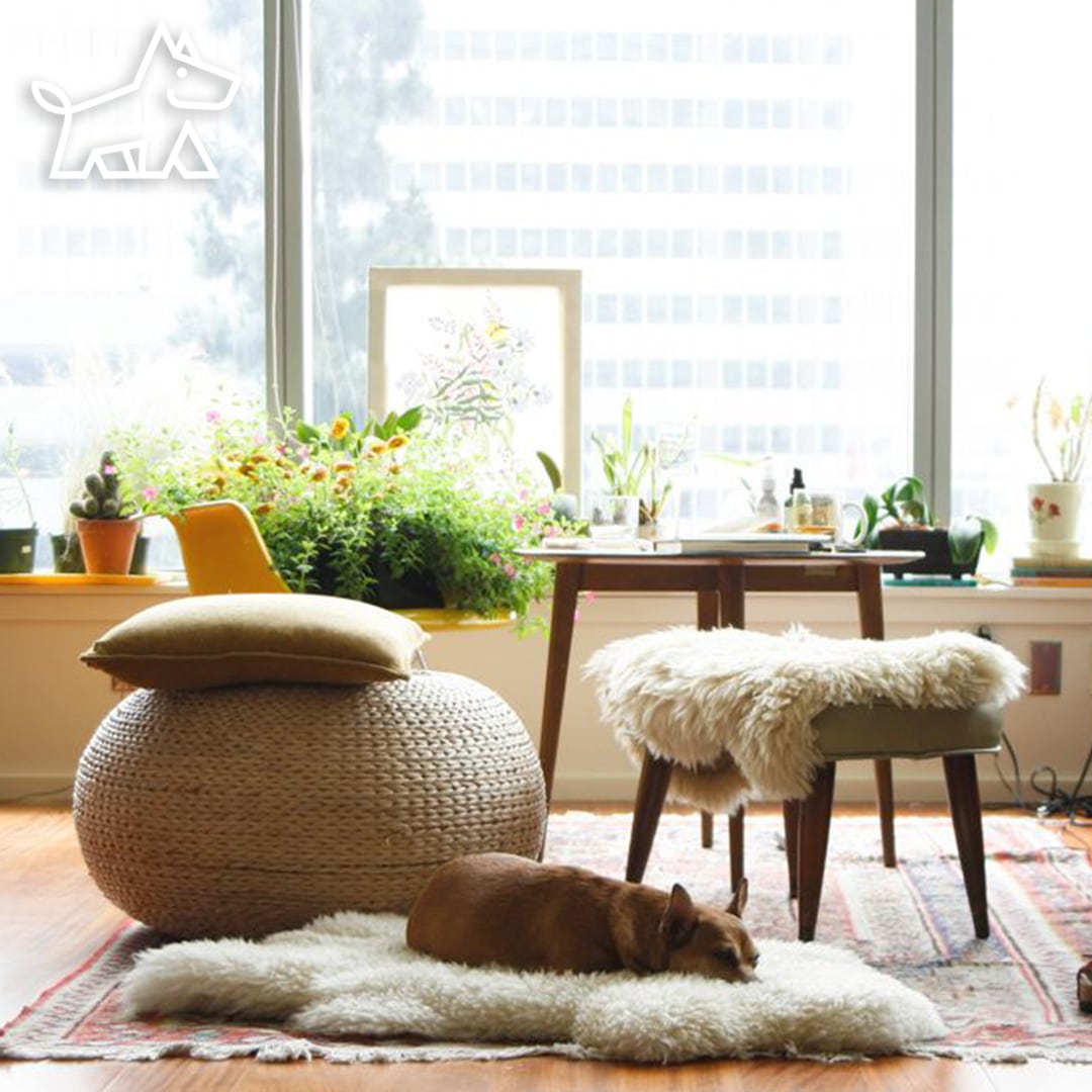 How to Match Rugs in an Open Floor Plan – 10 Great Ideas