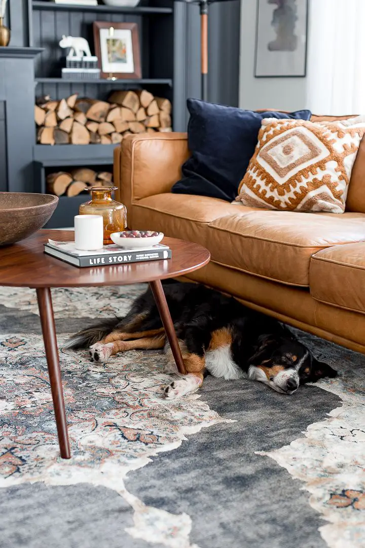 Title: 10 Things to Know to Clean a Leather Couch Like a Pro | Bark&Chase Meta Description: Learn how to clean your leather…