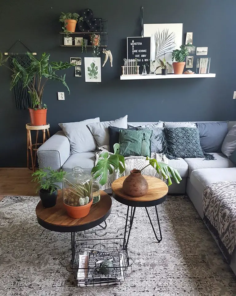 Place pet-friendly plants around the basement, as they can add life and brightness to an otherwise bleak area.