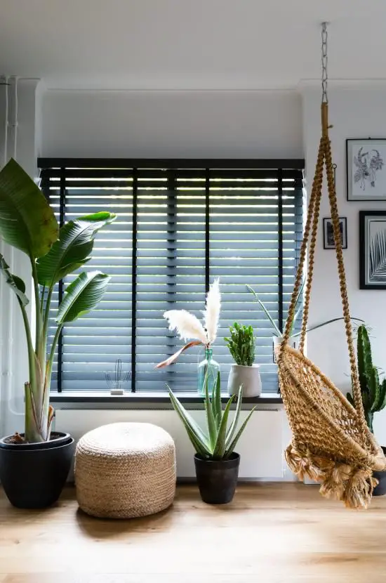 Keep it cool with Roman Blinds or Shutters.