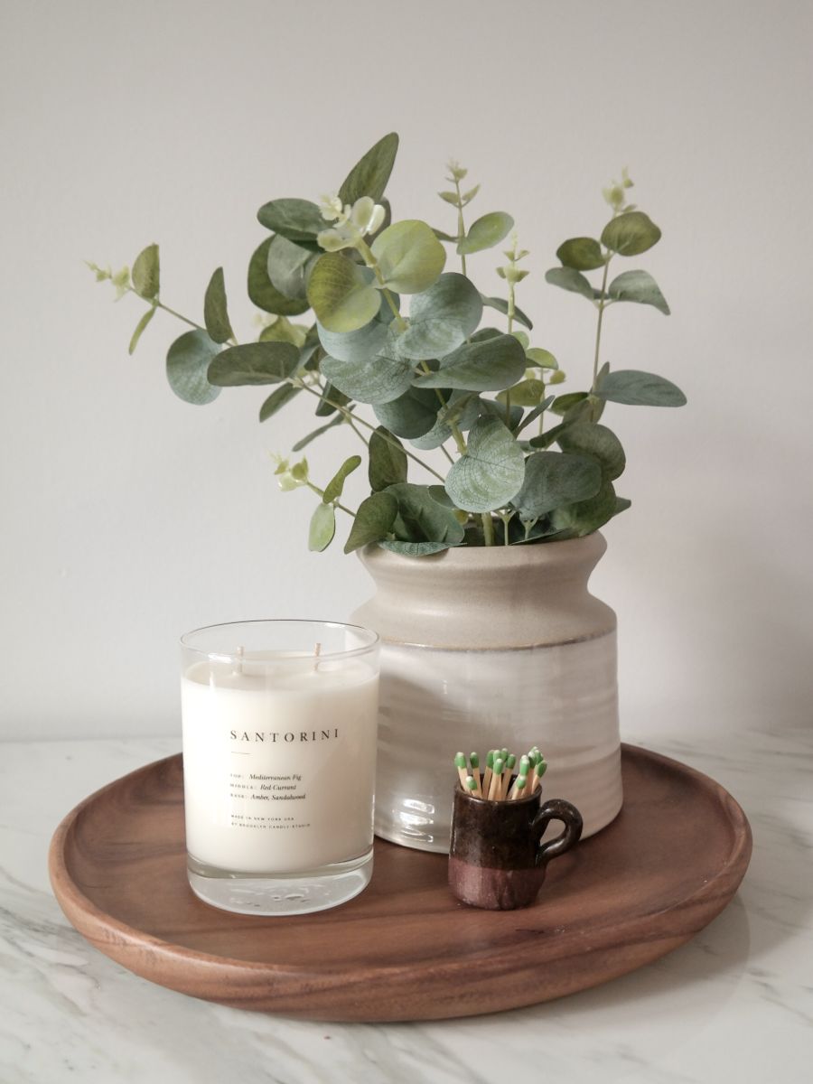 Add a few drops of essential oils to your plants. Using essential oils on plants is beneficial for their growth and…