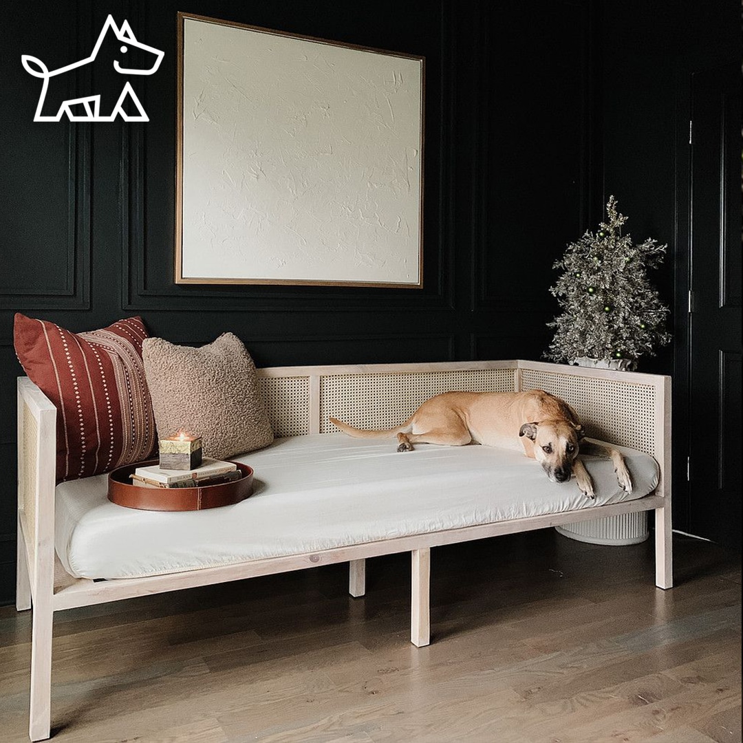 10 Reasons You Need to Get a Daybed for Adults Now!