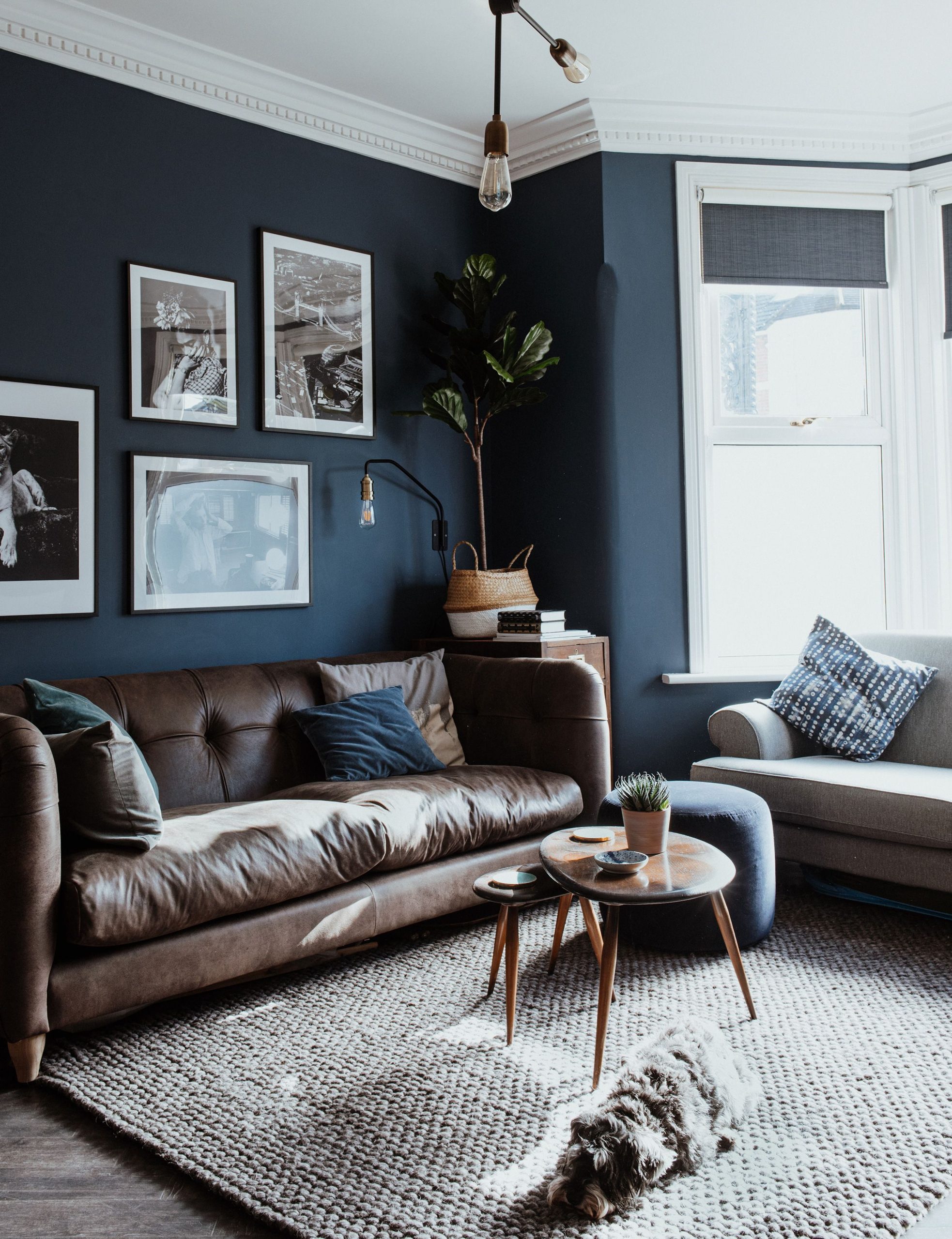 Blue – “The color of serenity and tranquility.”
