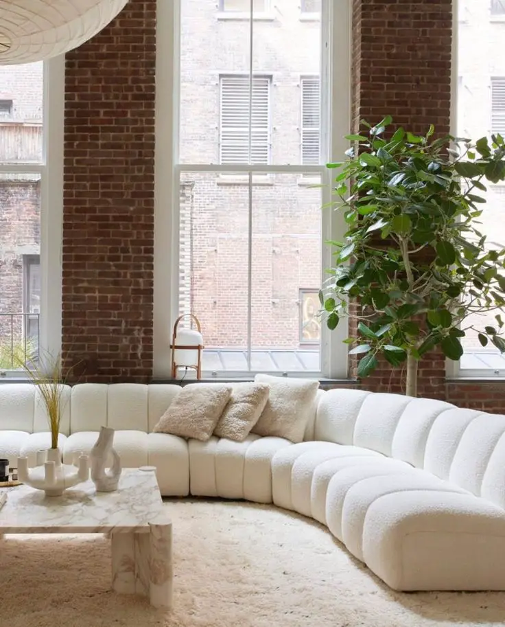 Bringing Nature Indoors: The Power of Houseplants