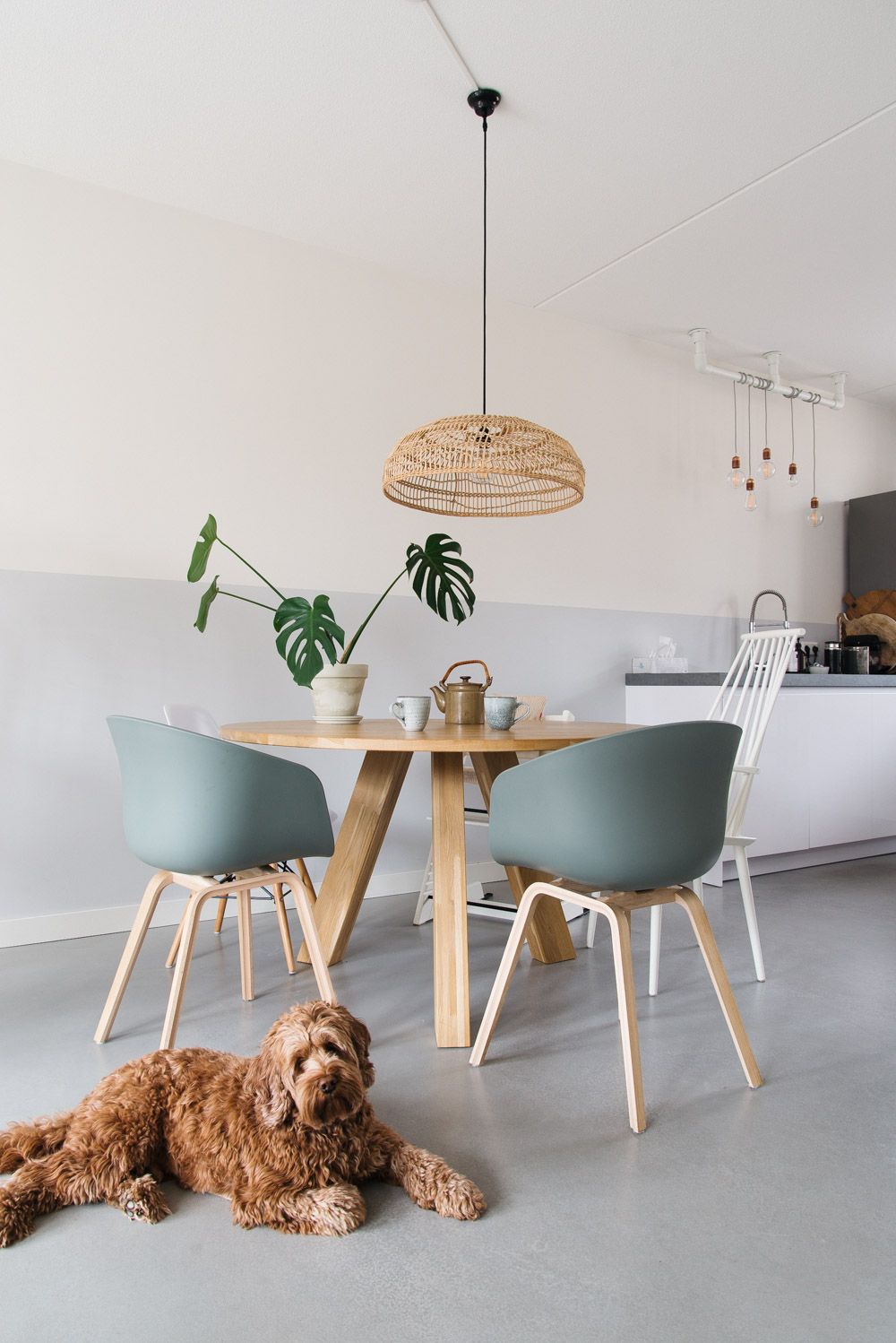 10 Small Dining Room Colors to Transform Your Space Meta Description: Looking for small dining room colors? Check out these…