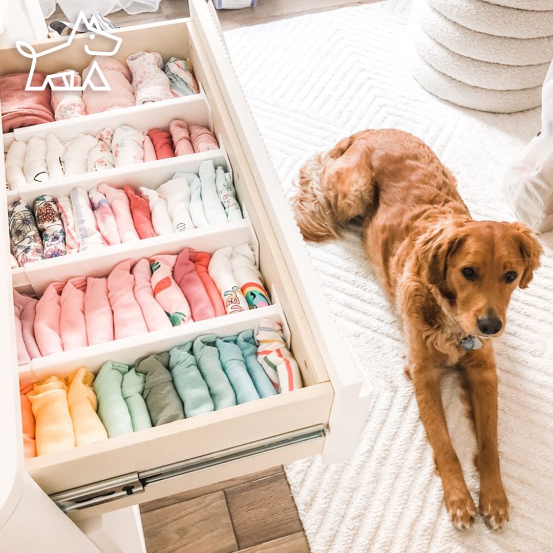 10+ Creative and Simple Ways to Organize Your Baby’s Clothes