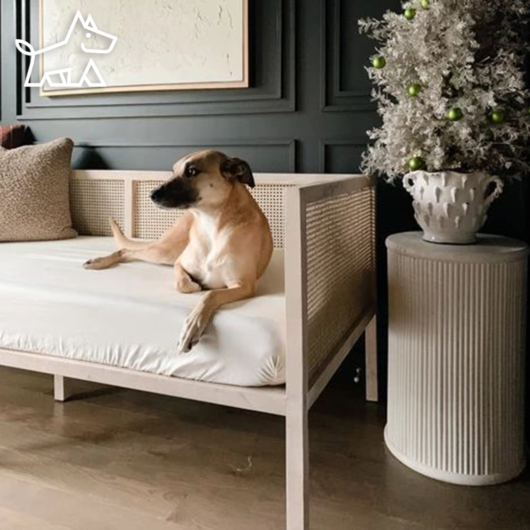 What is a Daybed? 10 Things you Need to Know