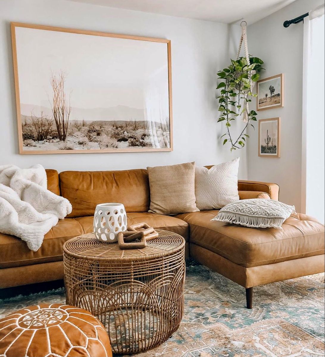 Dog urine stains on leather couches can be removed by mixing equal vinegar and water in a bowl.