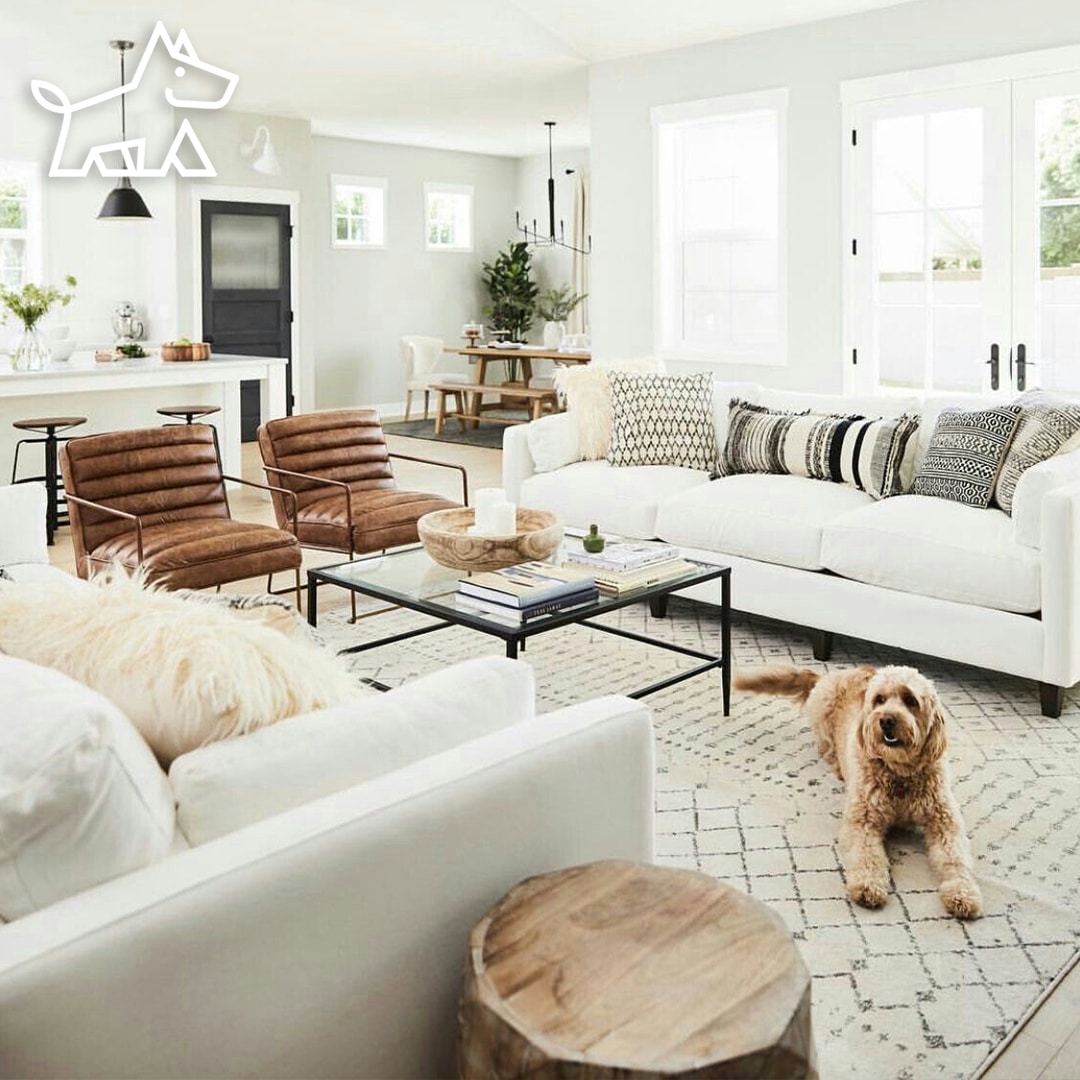 How to Match Accent Chairs and Sofas – 10 Steps