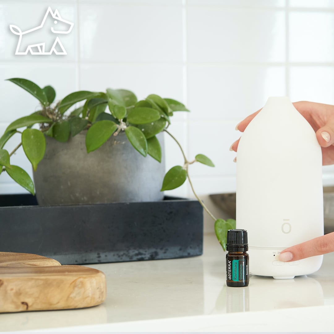 10 Essential Oil Diffuser Benefits for Improved Well-being