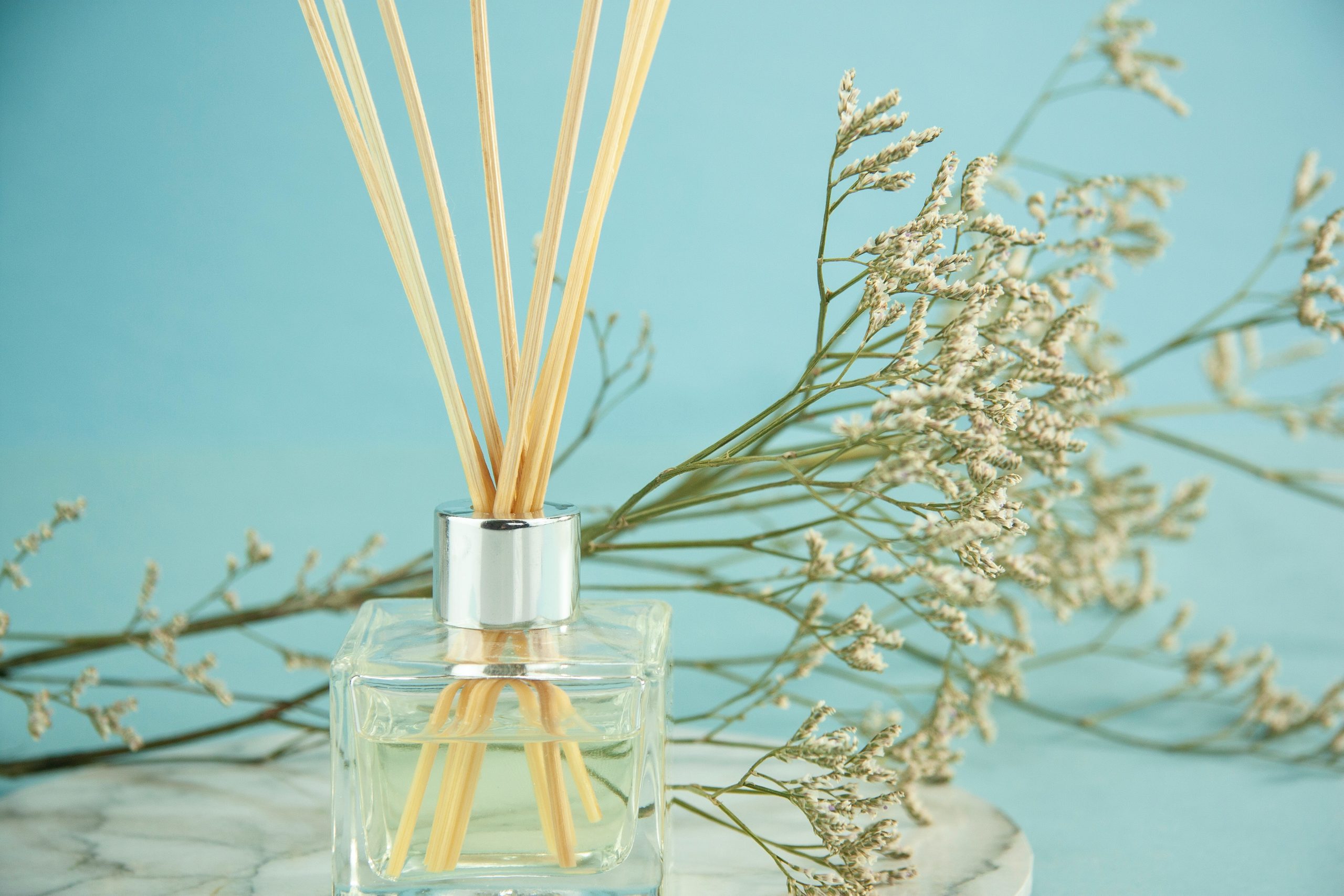 Are Essential Oils Safe For Dogs to Smell – What You Need To Know