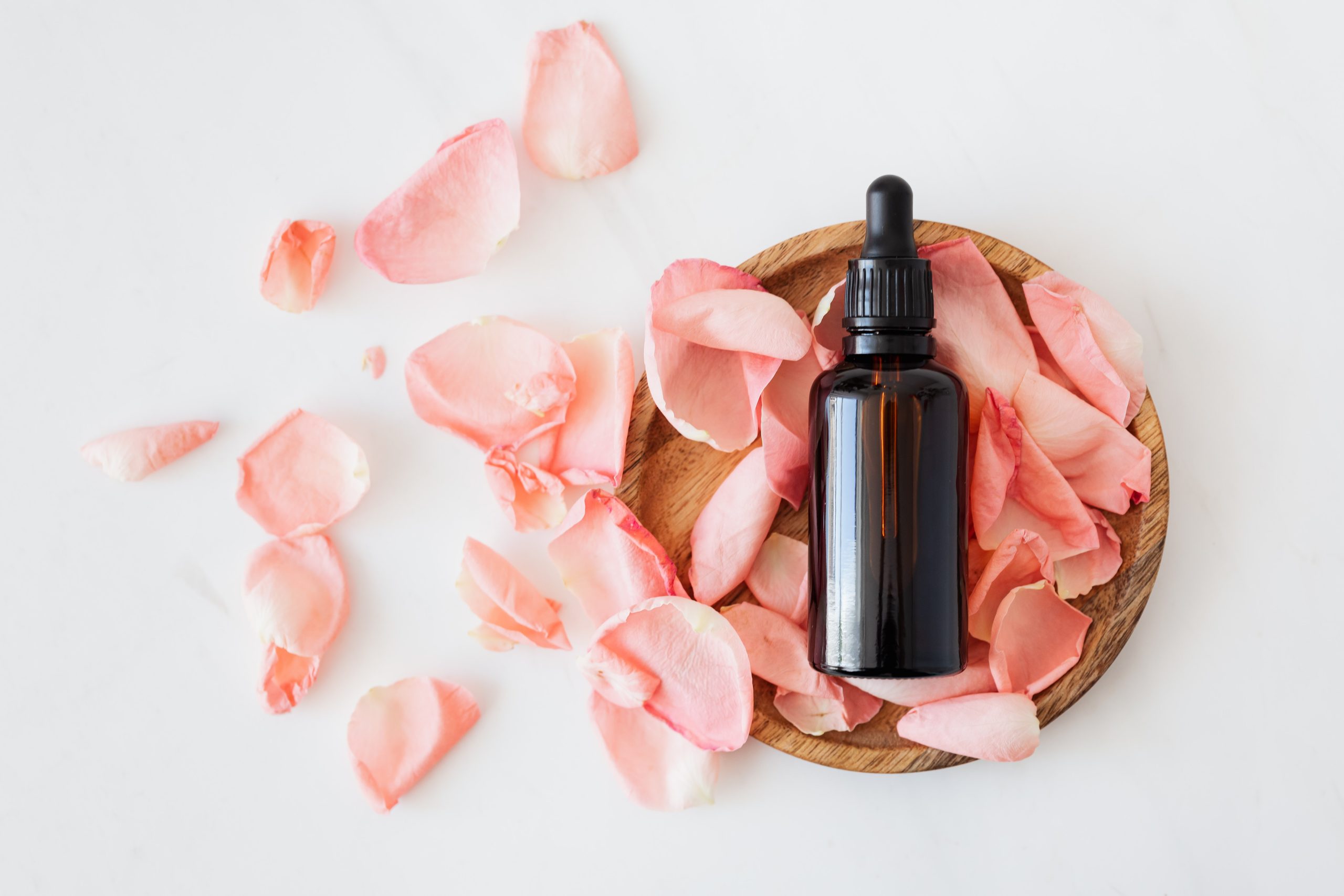 Are Essential Oils Safe For Dogs to Smell - What You Need To Know Things to Know about Dogs and Pet Safe Use of Essential…