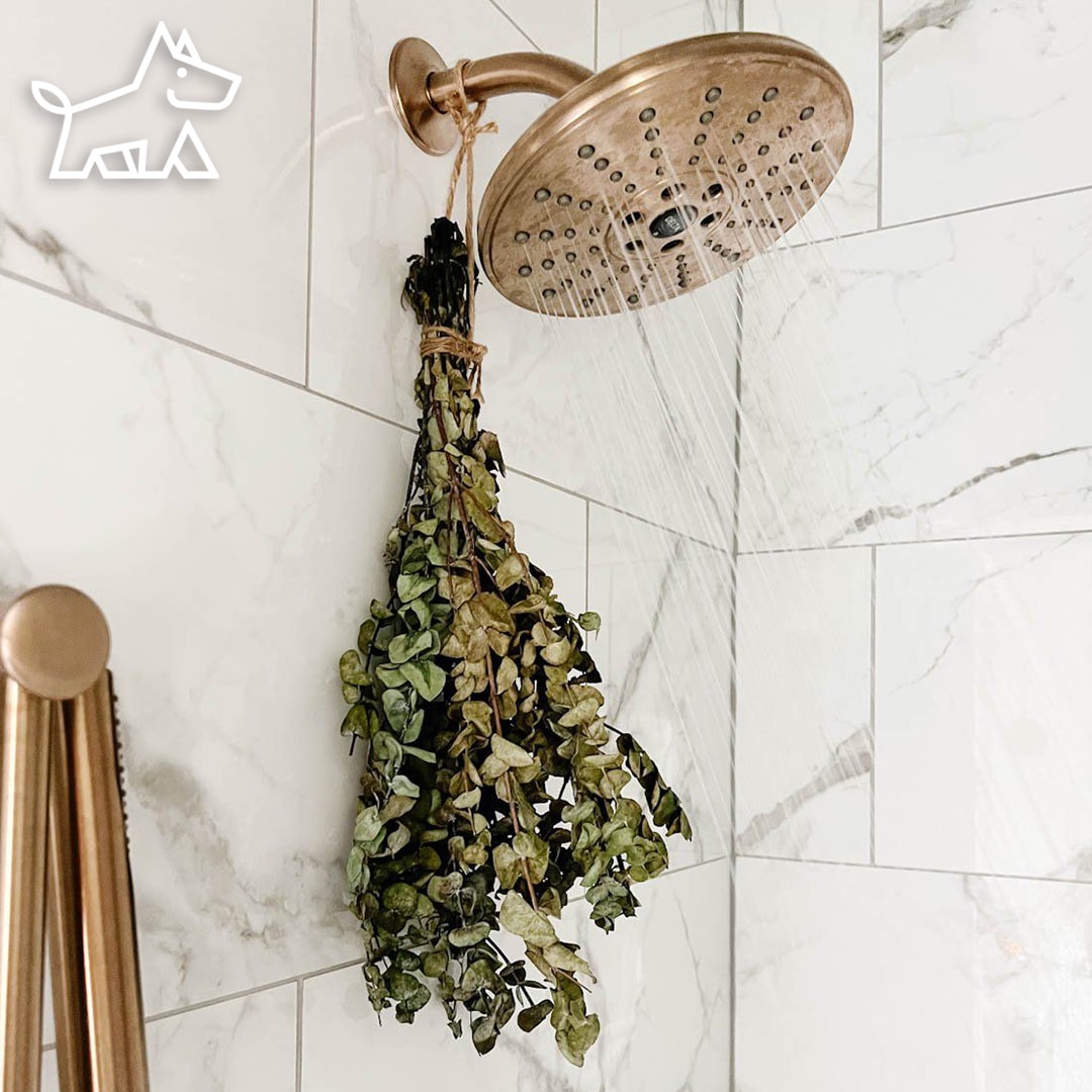 How to Make your Shower More Serene – 10 Simple Steps