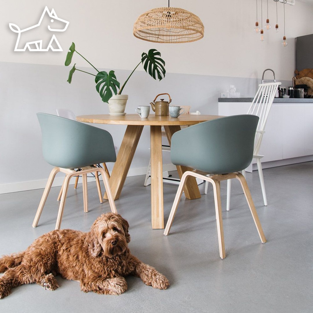 10 Small Dining Room Colors to Transform Your Space