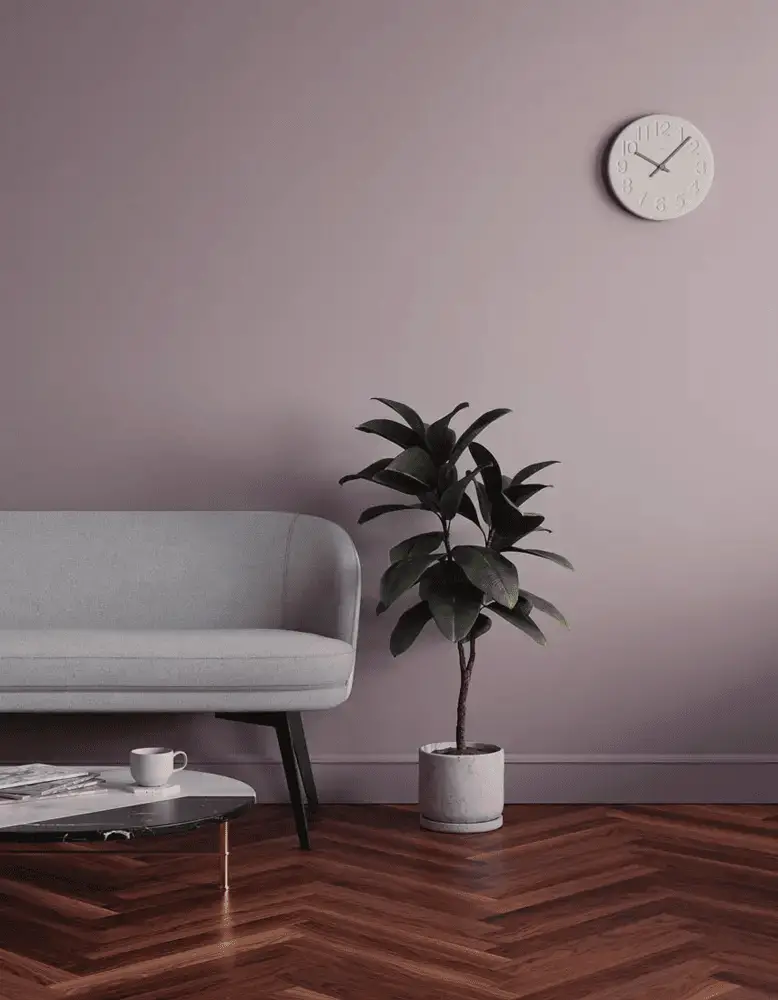 Lavender with Light-Colored, Pickled Hardwood Floors