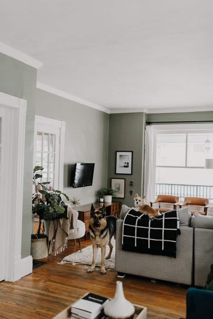 Sage Green with Cherry Hardwood Floor