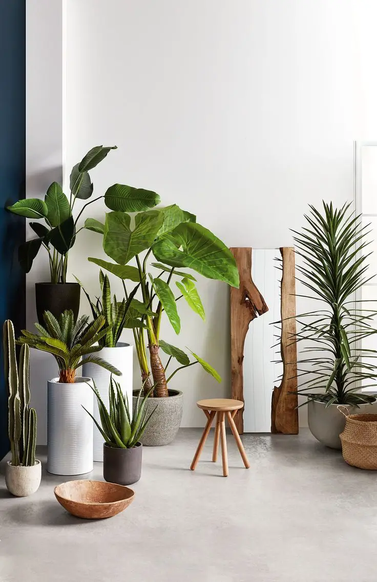 The Future of Biophilic Design