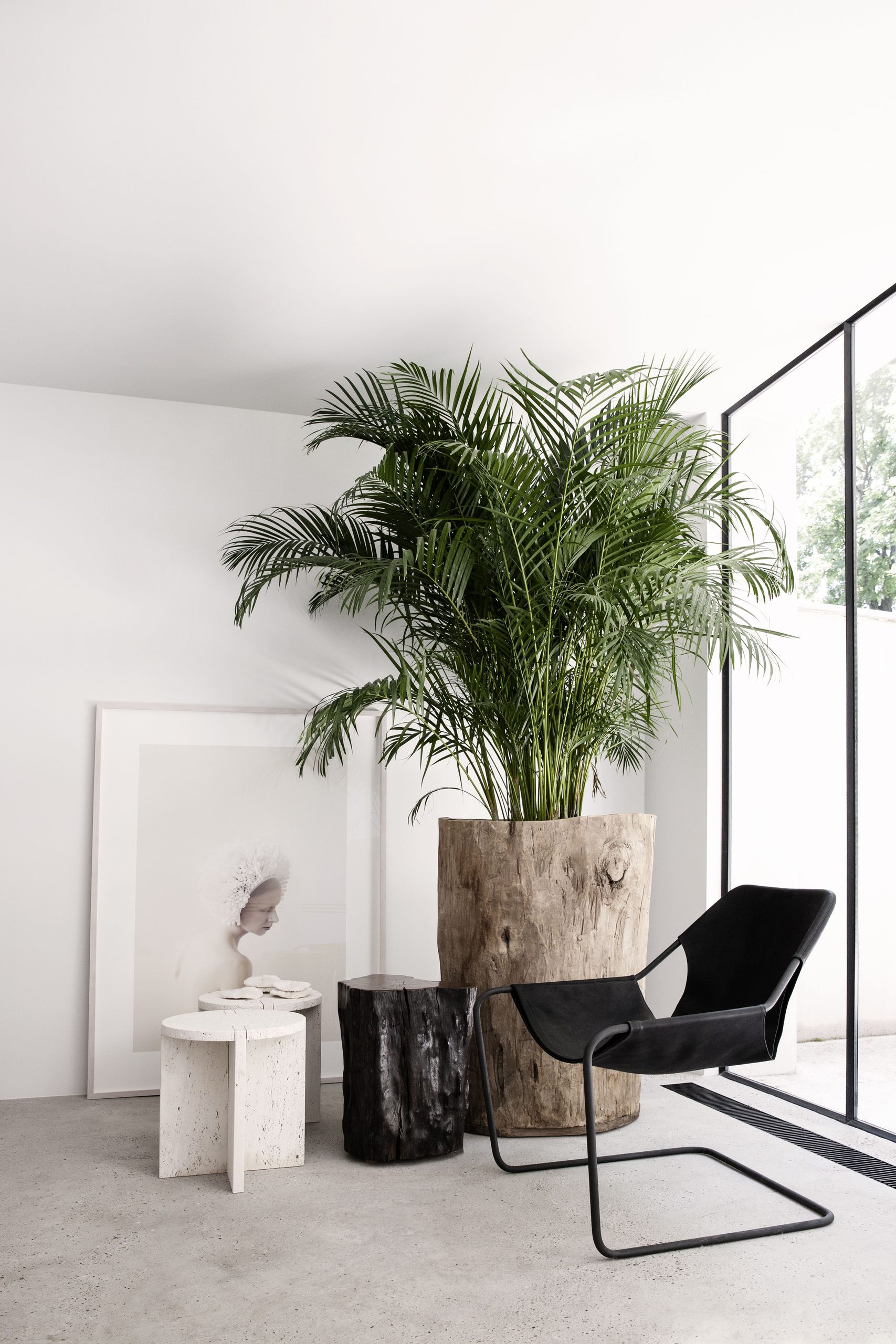 Biophilic Design: Breathe Life into Your Space The Transformative Power of Using Plants in Interior Design