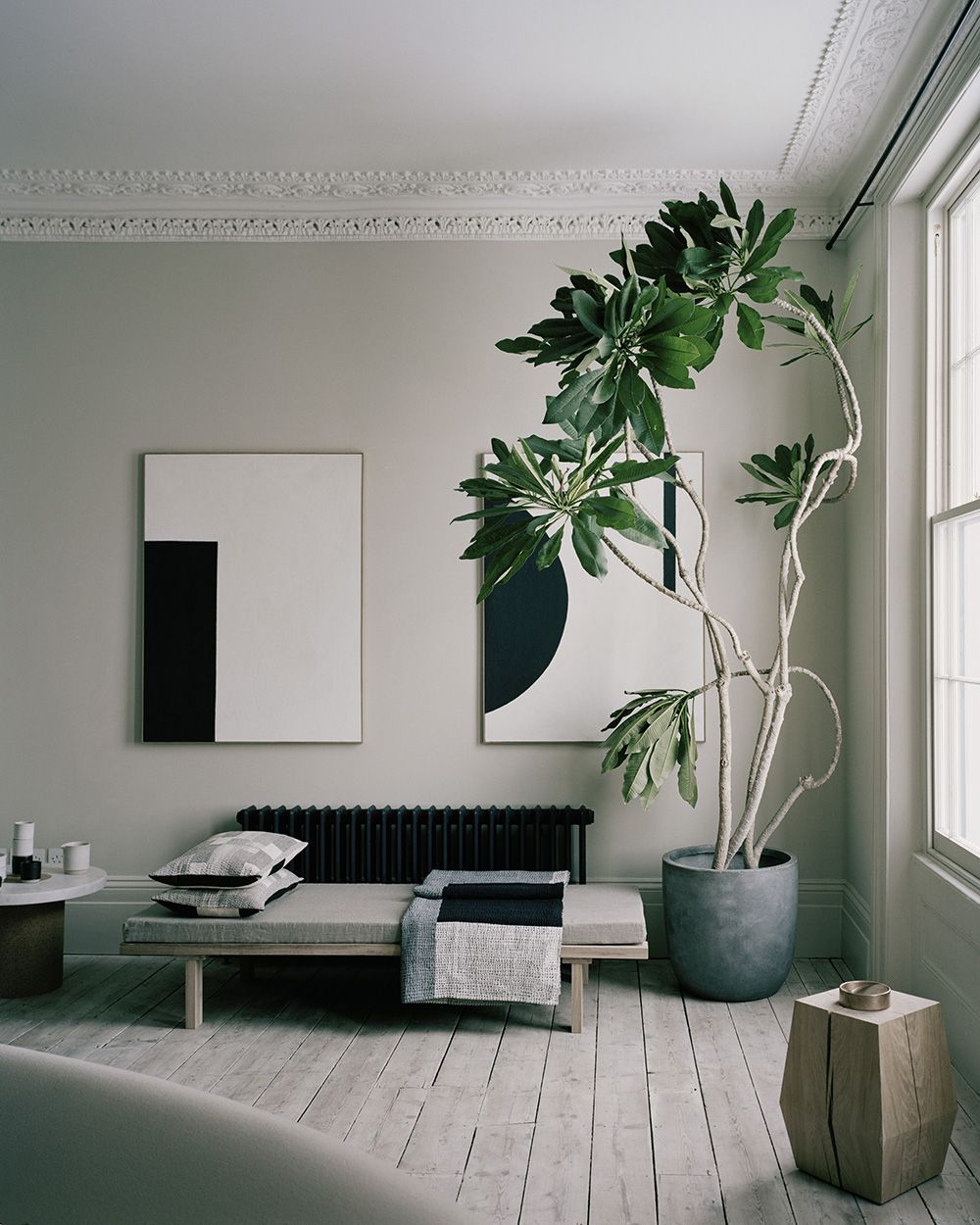 Reducing Stress and Anxiety with Plants
