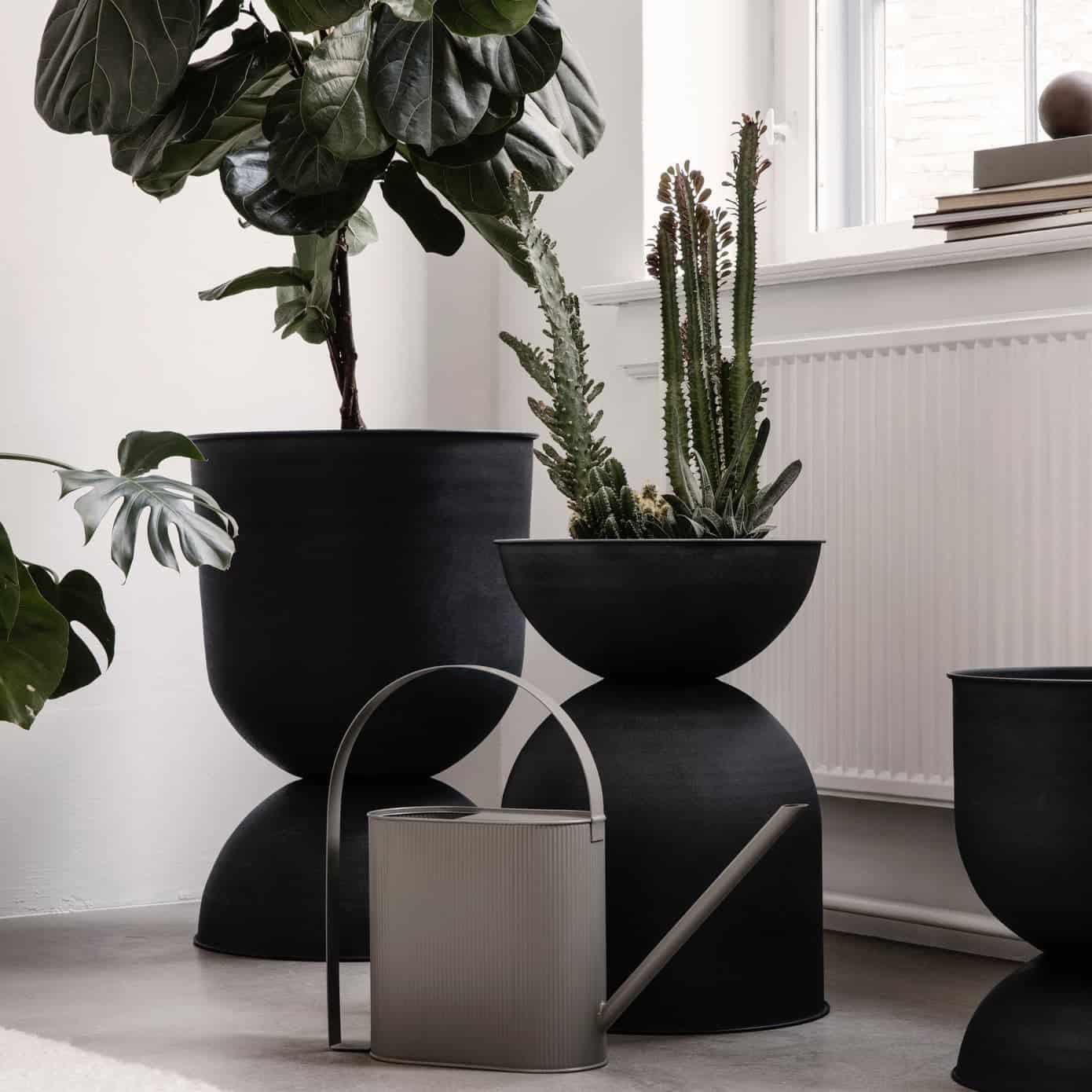 Health Benefits of Indoor Plants