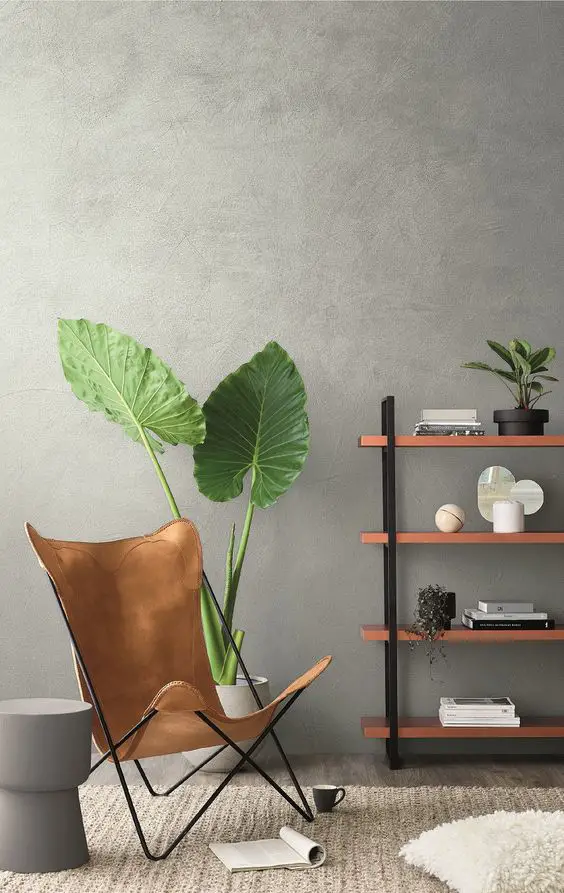 Are there any professional services available for cleaning and maintaining paint walls in residential spaces?