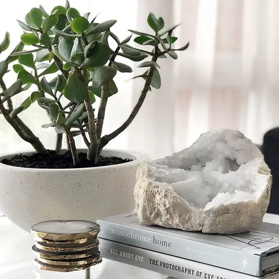 Unlock the Magic of Healing Energy: How to Display Crystals in Your Home for a Harmonious Ambiance Enhancing your Home with…