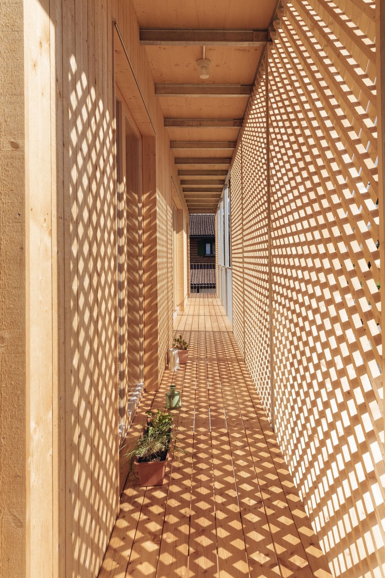 The Relationship Between Light and Shadow