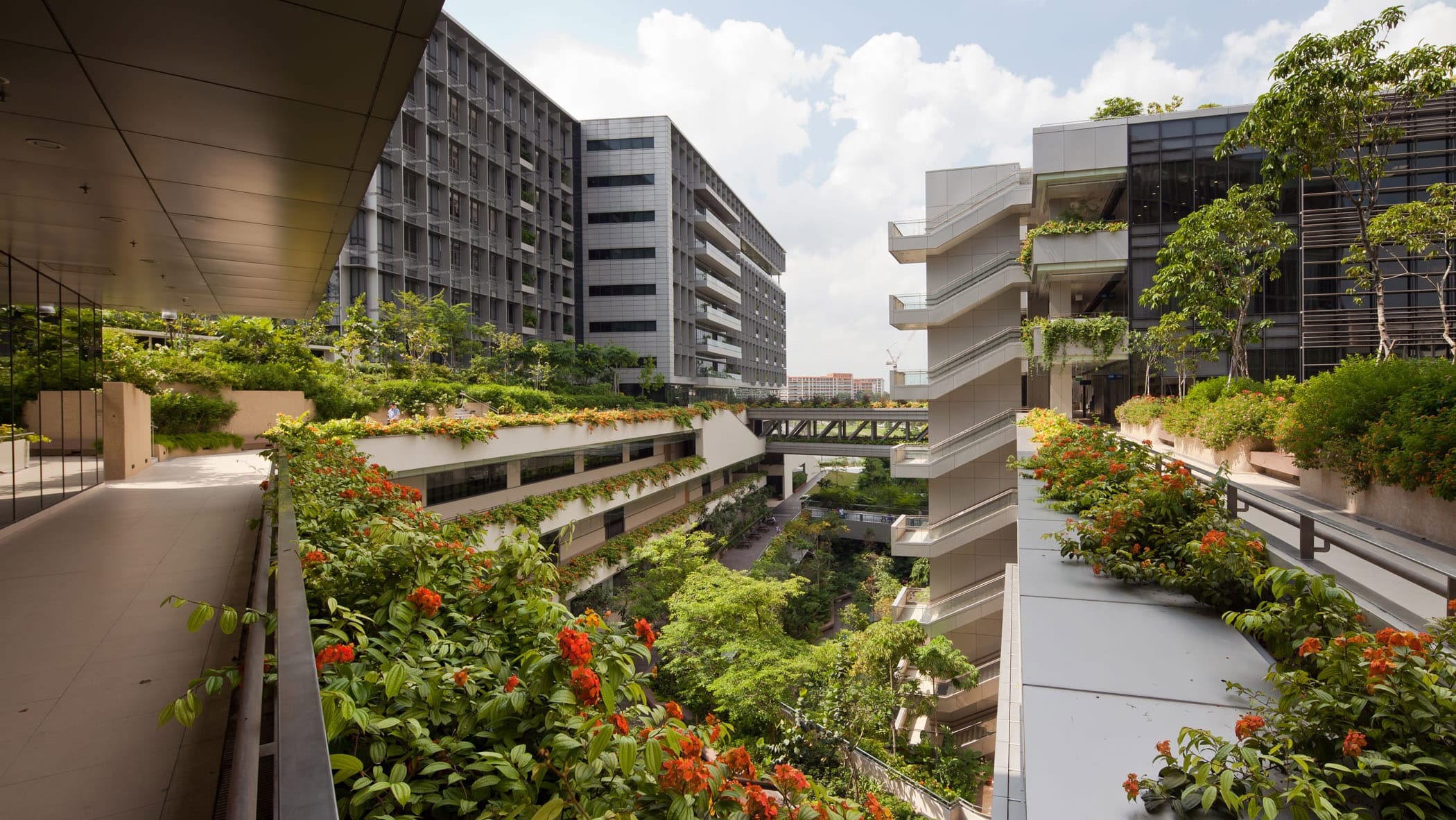 Breathing Life into Your Space: The Psychological Impact of Natural Materials