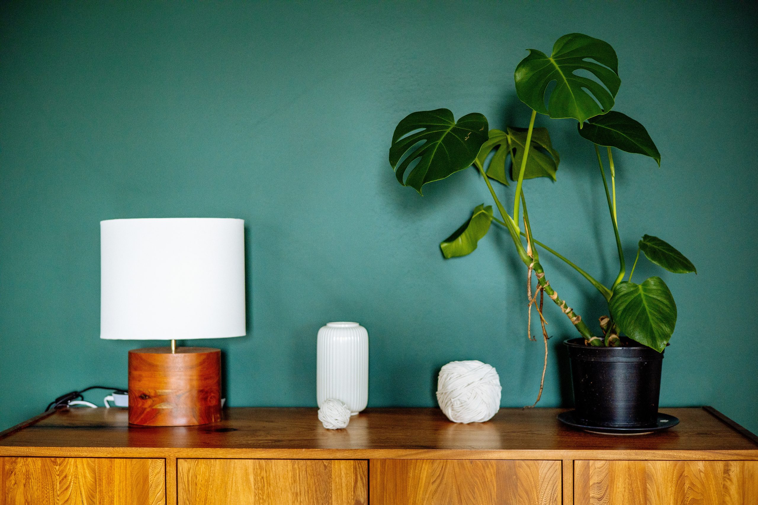 Top 5 Methods for Keeping Your Monstera Leaves Spotless and Vibrant