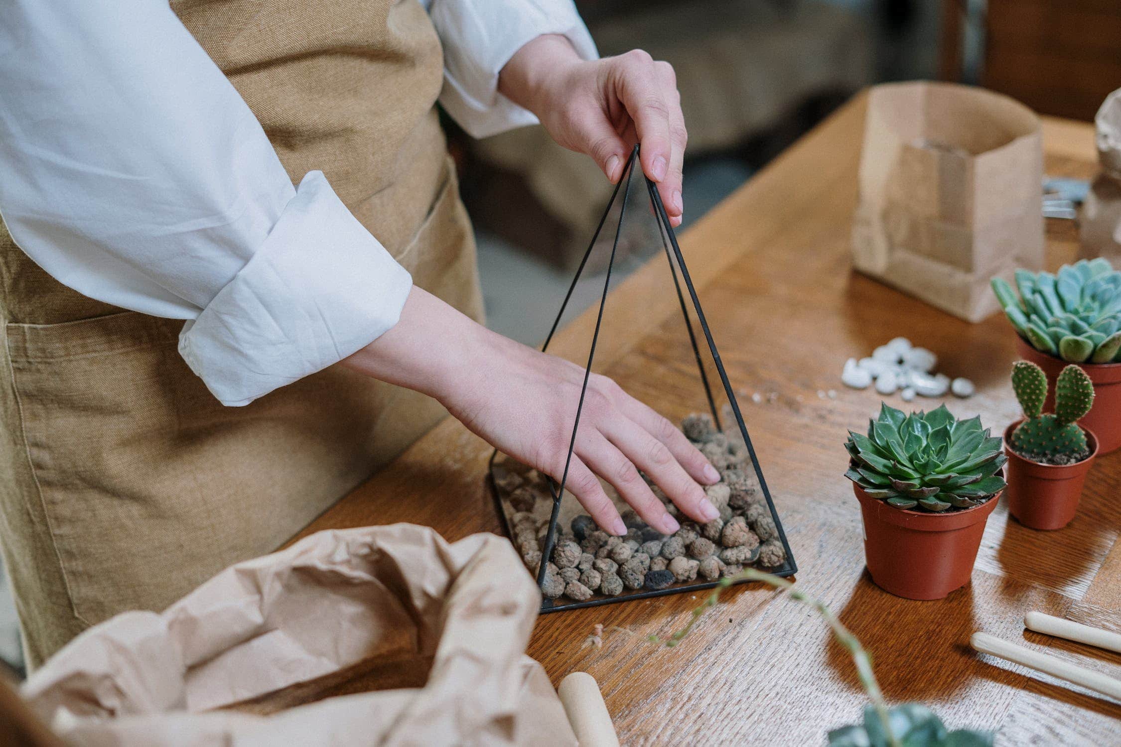 Bringing It All Together: The Interior Designer’s Guide to Cacti