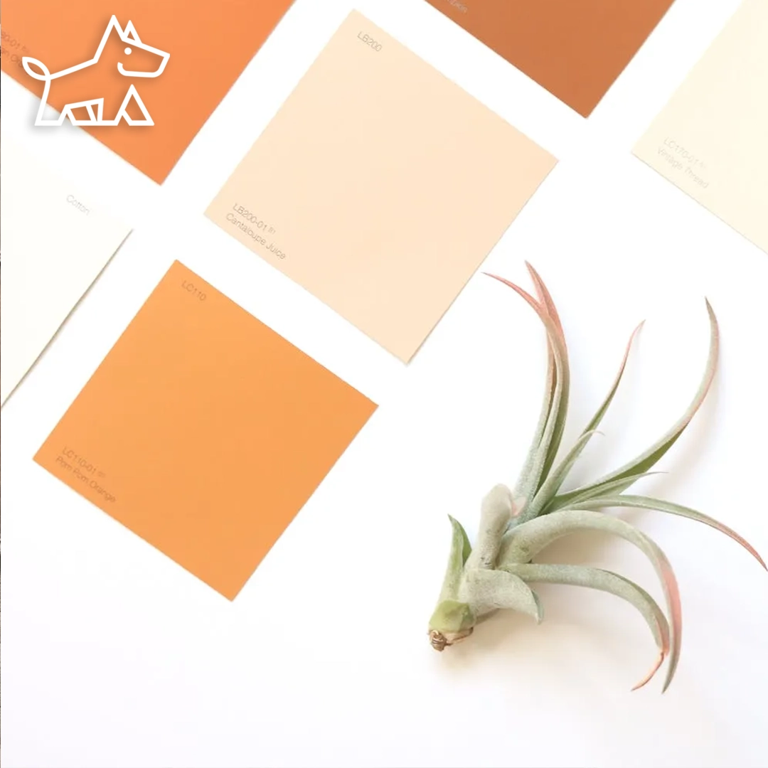 50 Affordable Decorating Ideas to Refresh Your Space