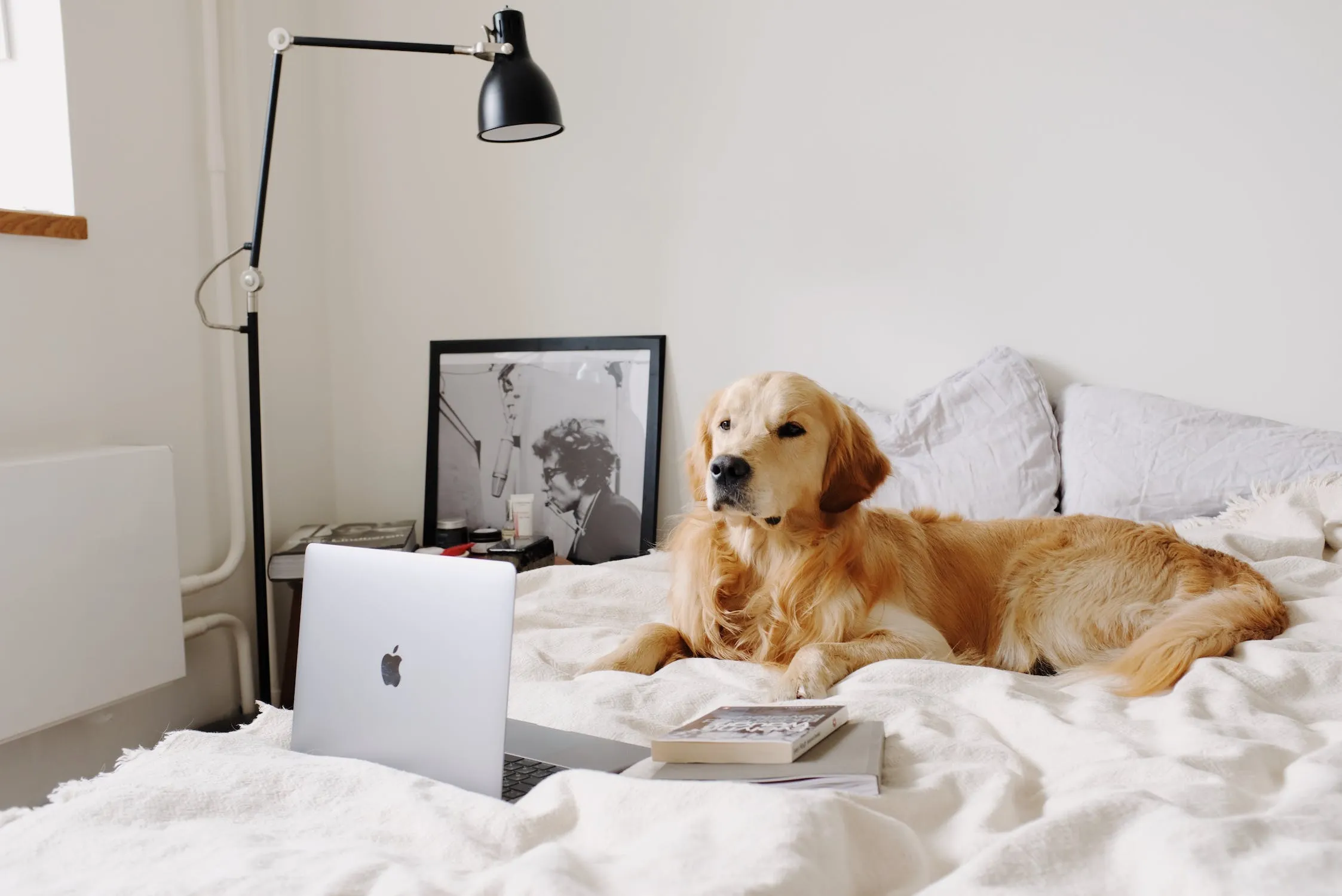 Do most interior designers offer a free initial consultation, and what should I expect from it?