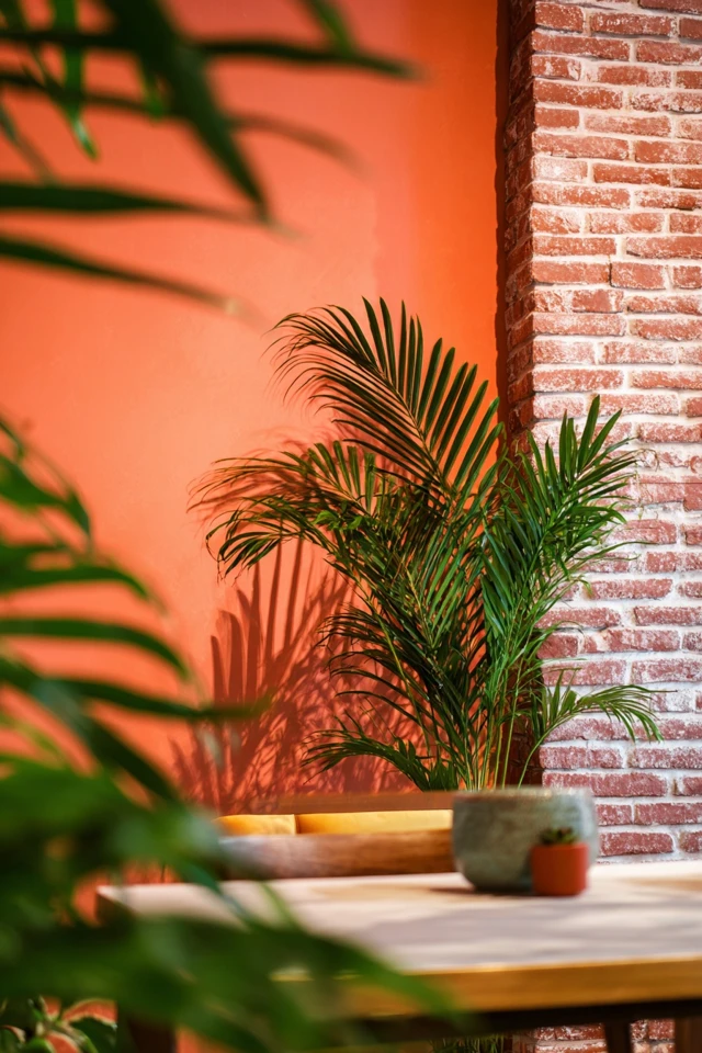 Elegant Brick Interior Wall Decor Ideas You’ll Love