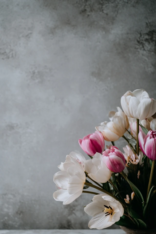 Elegant Grey Accent Wall Decor Ideas You’ll Love