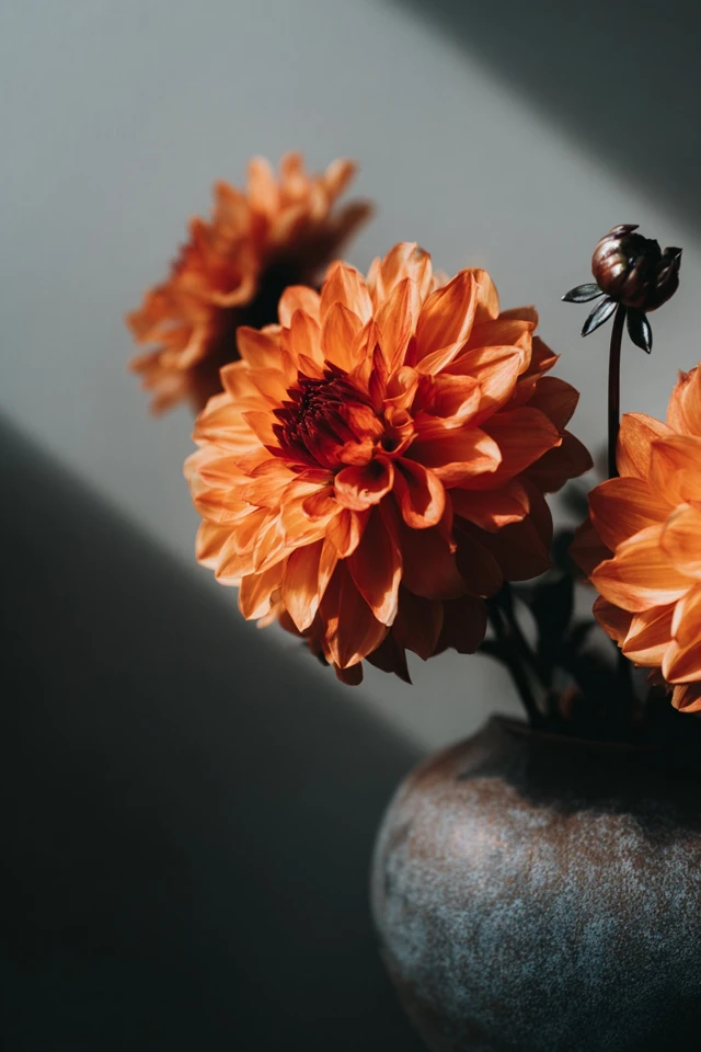 Affordable Colors That Go With Dark Brown Design Ideas You Can Do Now